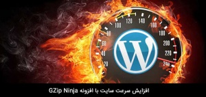 Speed-Site-Wordpress