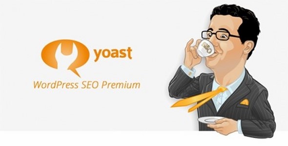 افزونه سئو کردن ویدیو وردپرس با yoast